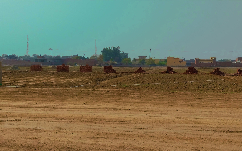 ARABIAN FARMS 10