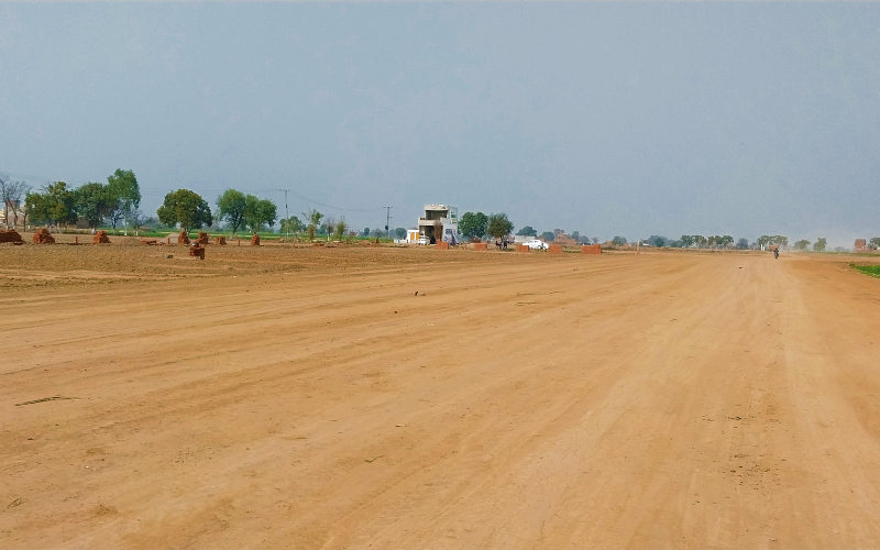ARABIAN FARMS 11