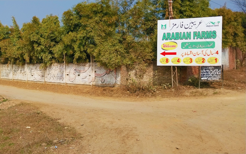 ARABIAN FARMS 2