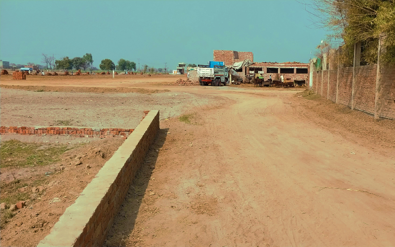 ARABIAN FARMS 5