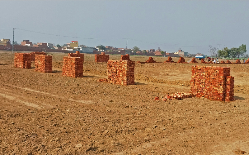 ARABIAN FARMS 7